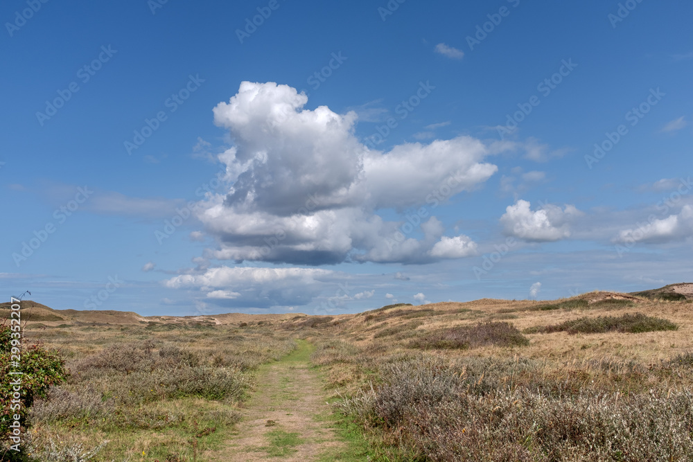 Path through a dune landscape with a blue sky with white clouds Path through a dune landscape with a blue sky with white clouds