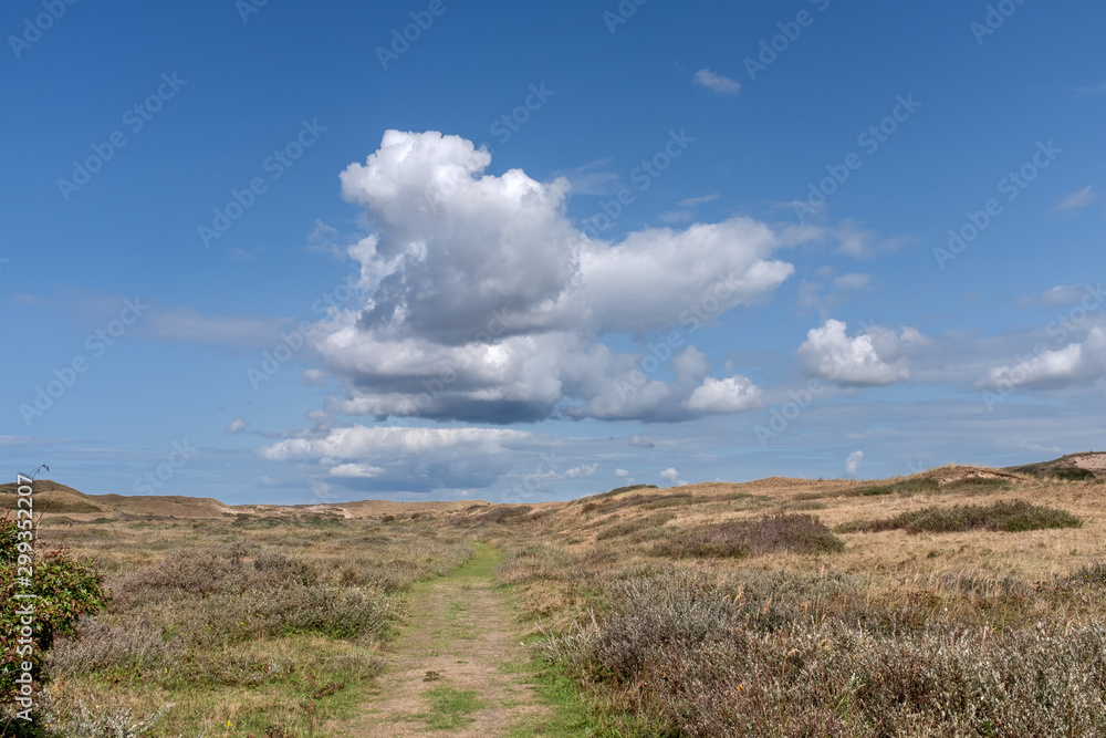 Path through a dune landscape with a blue sky with white clouds