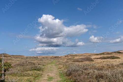 Path through a dune landscape with a blue sky with white clouds