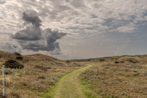 Path through a dune landscape with dark clouds above