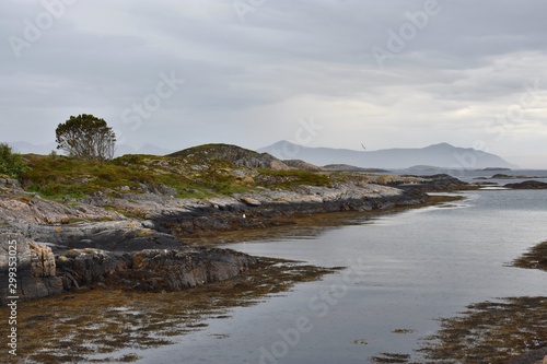 Beautiful norwegian landscape by the sea