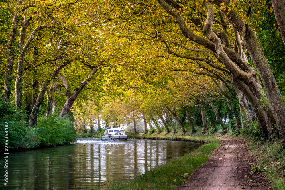 the canal du midi in autumn near Toulouse - obrazy, fototapety, plakaty 