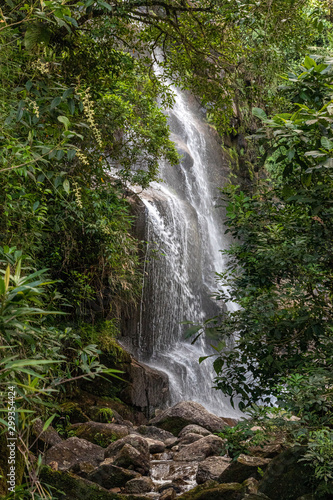 Cachoeira no meio da floresta