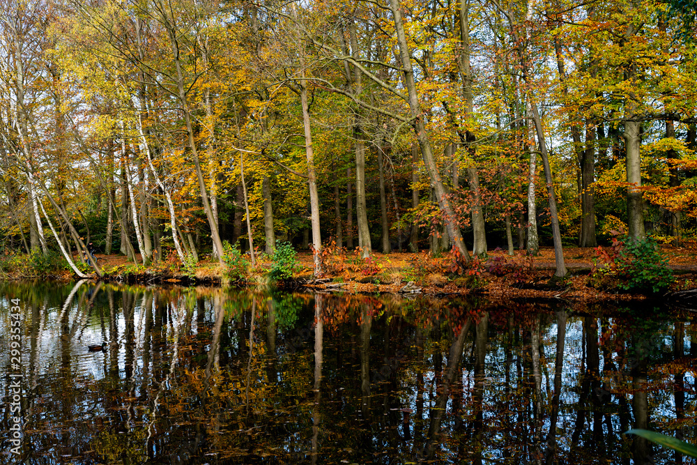 Herbstlicher See in Lüneburg, Deutschland