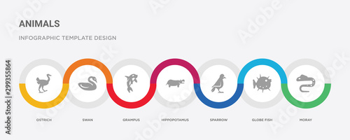7 filled icon set with colorful infographic template included moray, globe fish, sparrow, hippopotamus, grampus, swan, ostrich icons