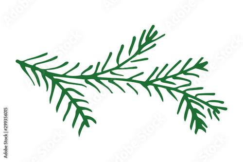 Hand drawn doodle cartoon Colorful fir tree branch. Sketch style Christmas holiday plant decoration vector drawing.