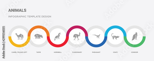 7 filled icon set with colorful infographic template included condor, coati, pheasant, cassowary, hornbill, tapir, camel facing left icons