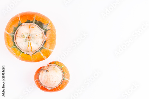Ugly pumpkins with mutation on white background with copy space. Concept of zero waste production in food industry and a world without starvation. Top view.