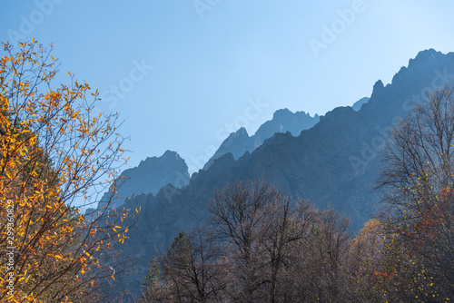  mountains of the Caucasus.