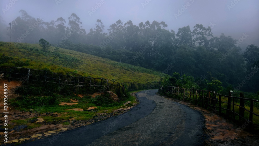 Road in the mountains with mist, Eravikulam National park, Munnar.