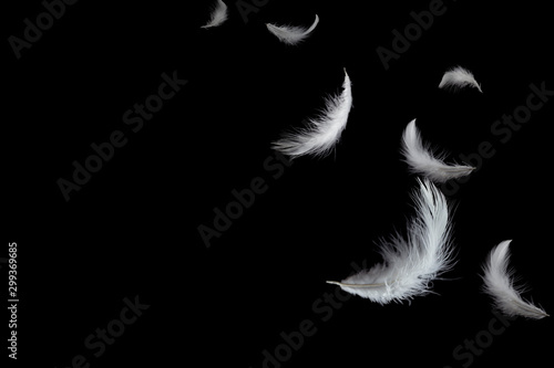 Soft white feathers floating in the air, black background