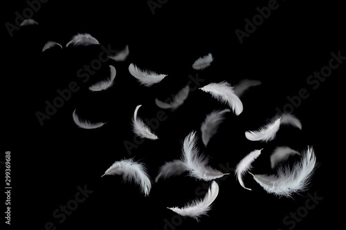 Soft white feathers floating in the air, black background