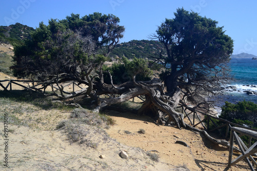 Vista della spiaggia di Porto Sa Ruxi photo