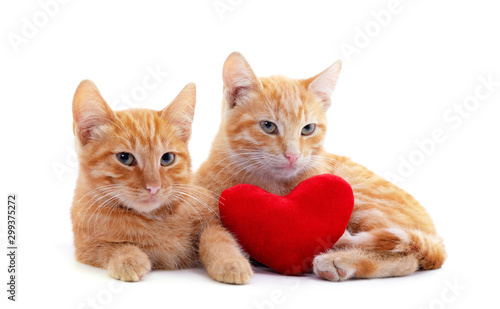 Two red kitten with a toy heart.