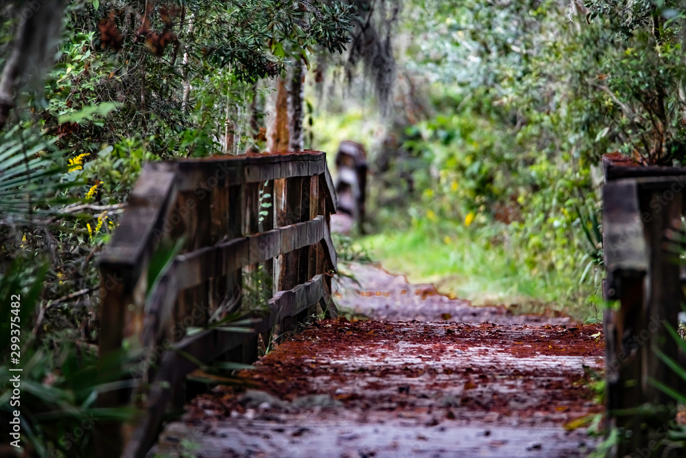 bayou trail