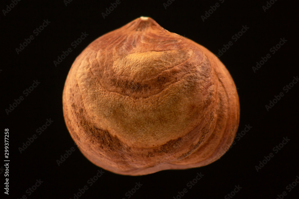 Hazelnut closeup on black background. Healthy food and vitamins. Hazelnut closeup on black background. Healthy food and vitamins.