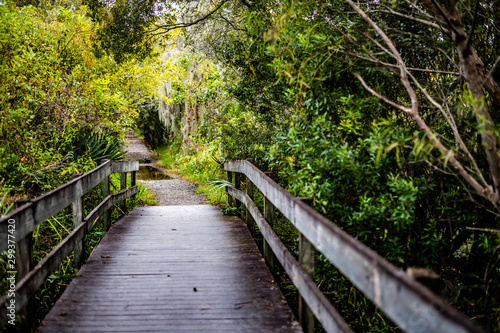 foot bridge on the bayou