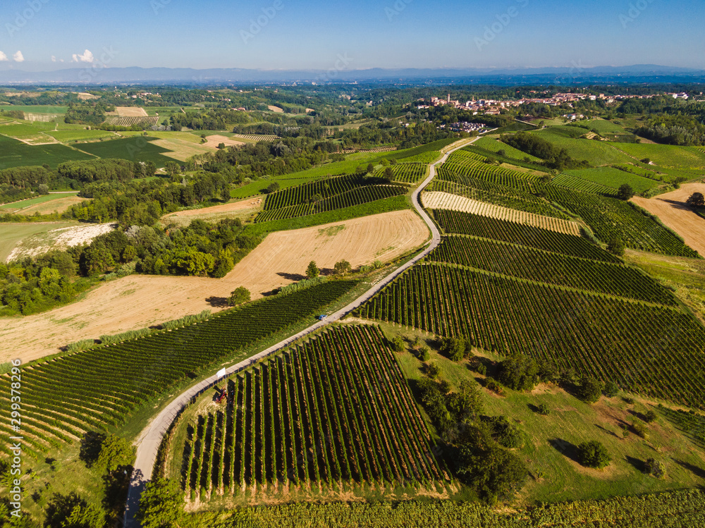 Aerial view of Castagnole Monferrato vineyards and fields, unesco world heritage