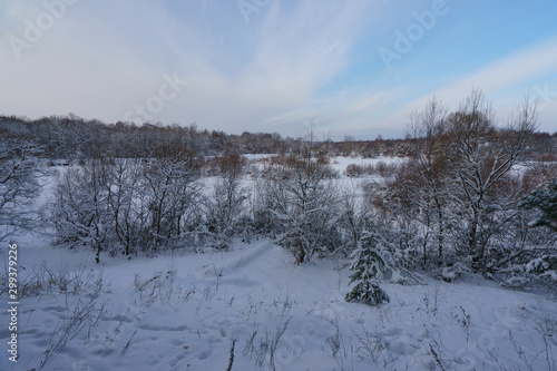 Cold snow white Russian winter. River Desna banking and flood plane had been covered by deep snow. The concepts of beauty of nature and ecological tourism.