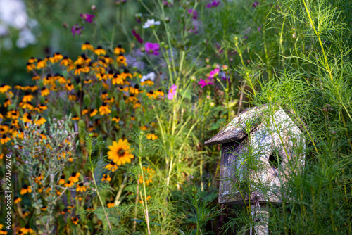 Birdhouse in Flower Garden © David Arment