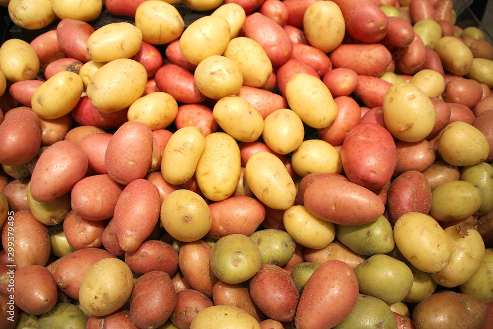Red and yellow small potatoes are sold in the market Red and yellow small potatoes are sold in the market
