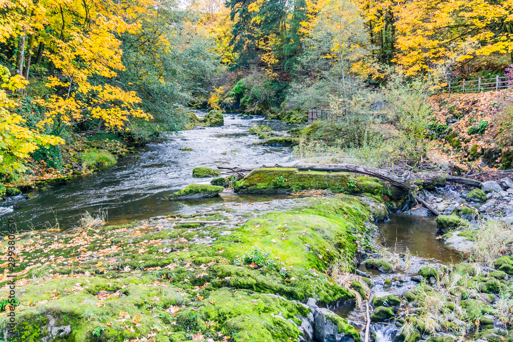 Tumwater Falls Park Autumn Landscape 3 Tumwater Falls Park Autumn Landscape 3