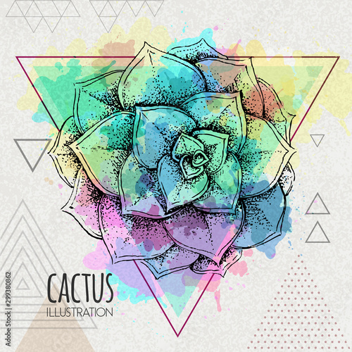 Hand drawing cactus vector illustration on artistic watercolor triangle background