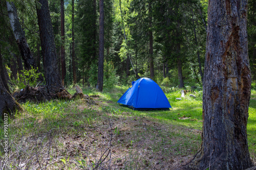 tent in the forest