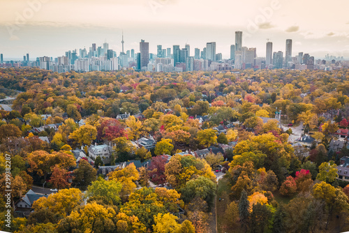 Canvas Print Autumn aerial photography of Toronto