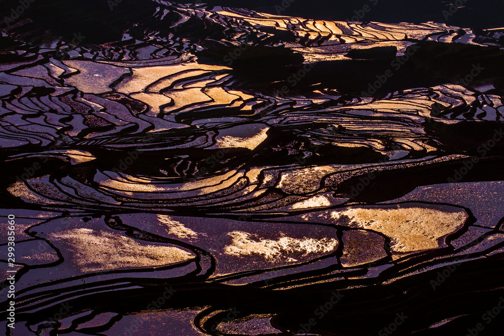 Yuanyang Honghe Hani Reisterrassen Rice terraces paddies Yunnan China 