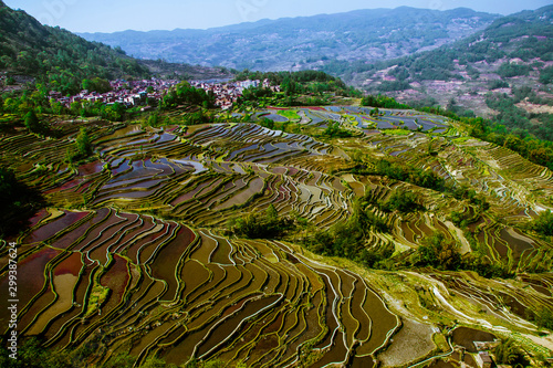 Yuanyang Honghe Hani Reisterrassen Rice terraces paddies Yunnan China photo