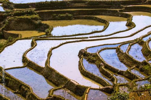 Fototapeta Naklejka Na Ścianę i Meble -  Yuanyang Honghe Hani Reisterrassen Rice Terraces Rice paddies Yunnan China