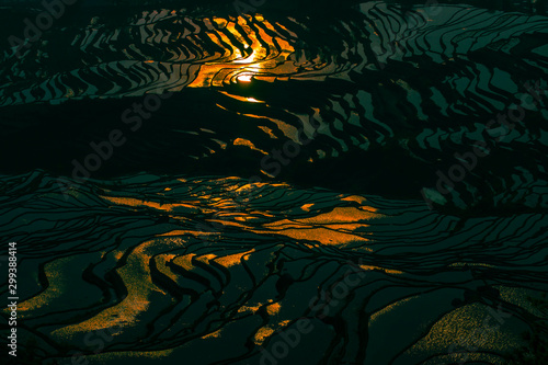 Yuanyang Honghe Hani Reisterrassen Rice terraces paddies Yunnan China  photo