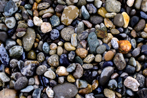 Natural and colorful texture photography background