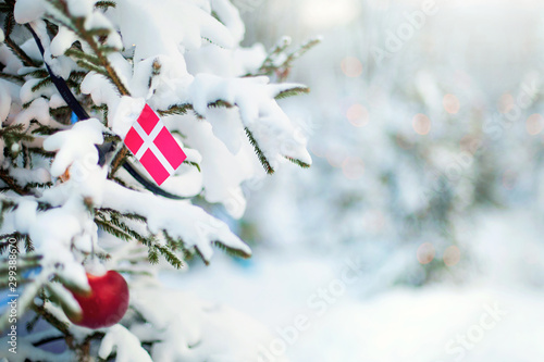 Photography Christmas Denmark