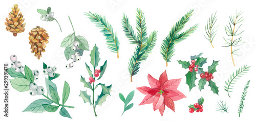 Watercolor Christmas botanical set. Hand drawn plants elements isolated on white background. Branches with snowberries  spruce  holly for invintation cards  banners  templates