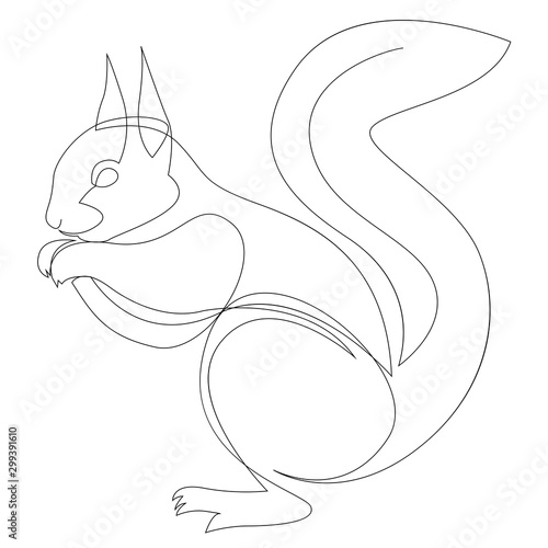 One line squirrel drawing. Squirrel in minimal line style. Vector illustration