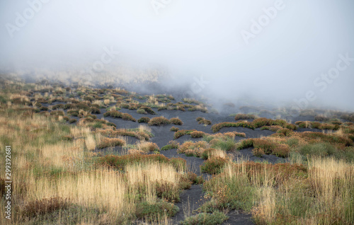 Unusual Landscape and Plants Growing on Side of Volcano