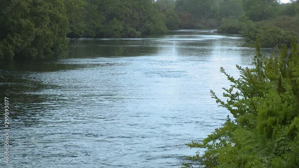 Steady, medium wide shot of a calm river snaking through a tree line. Steady, medium wide shot of a calm river snaking through a tree line.