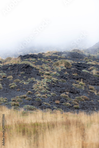 Unusual Landscape and Plants Growing on Side of Volcano