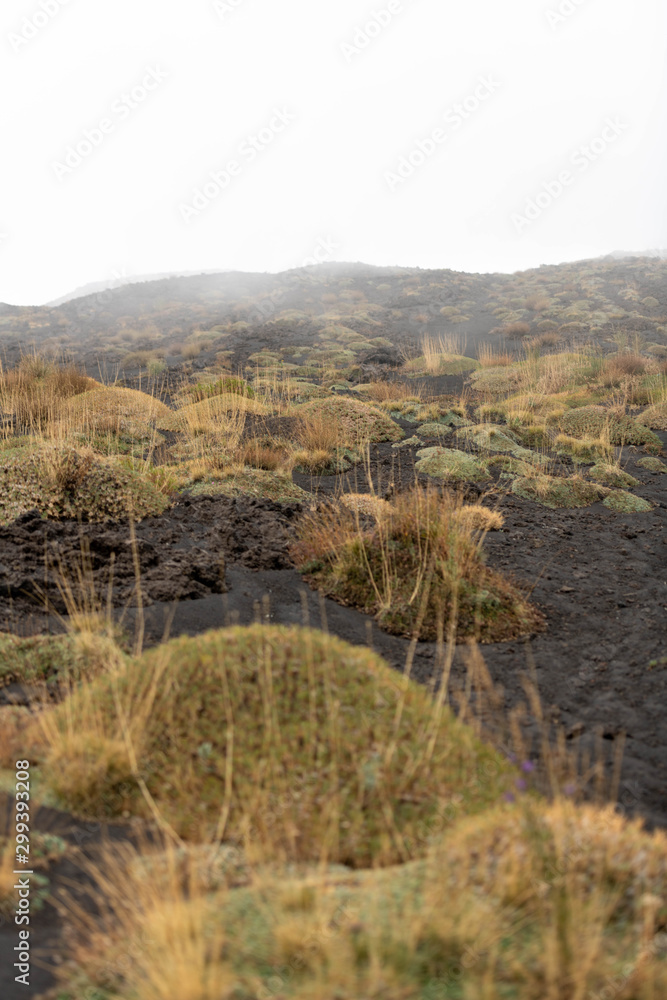 Unusual Landscape and Plants Growing on Side of Volcano