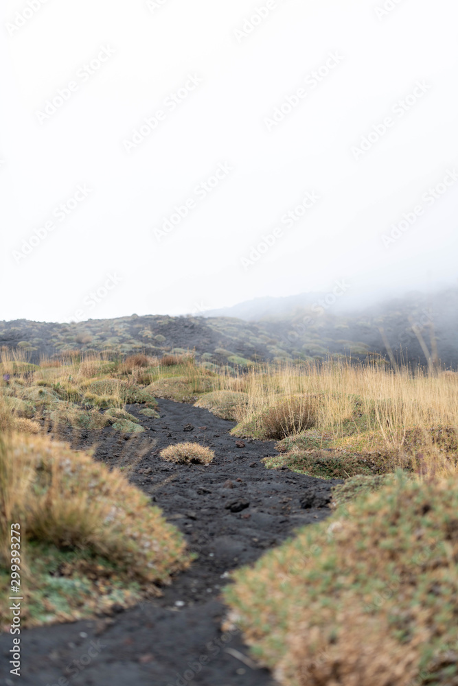 Unusual Landscape and Plants Growing on Side of Volcano Unusual Landscape and Plants Growing on Side of Volcano