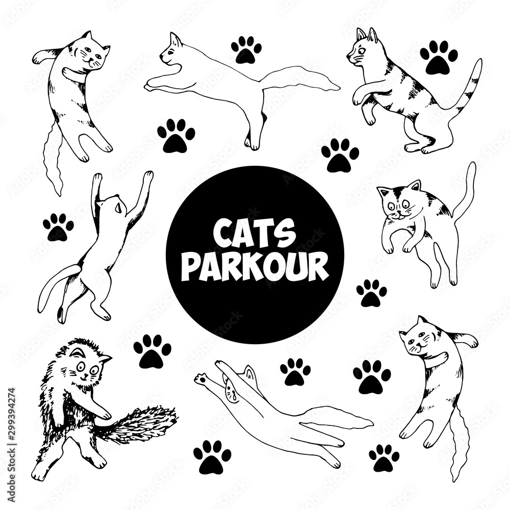 Obraz premium Cute hand drawn set of cats in jumping motion on white background. Vector adorable animals in trendy Scandinavian style. Funny, cute, hygge illustration for poster, banner, print.