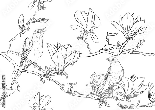 Magnolia tree branch with flowers and nightingale Seamless pattern  background. Outline hand drawing vector illustration..