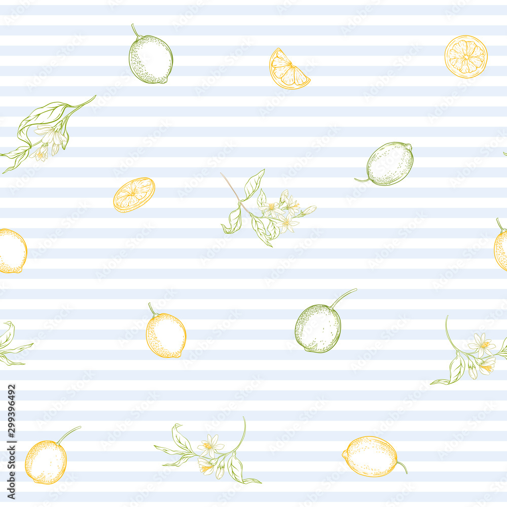 Lemon tree branch with lemons, flowers and leaves. Seamless pattern, background. Outline colored hand drawing vector illustration in soft colors on blue stripes background..