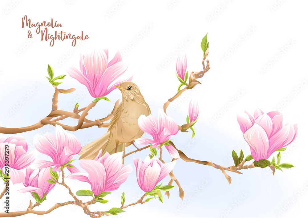 Magnolia tree branch with flowers and nightingale Template for wedding ...