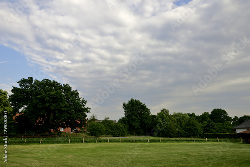 Freshly mown meadow with trees in blue sky with white clouds