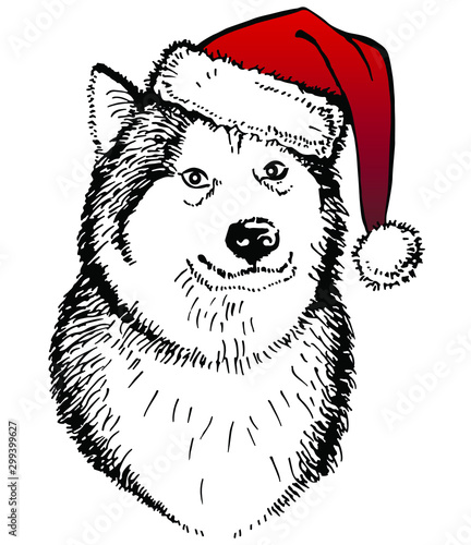 Husky's dog, in a knitted red hat with a pompon and scarf. Vector illustration. Christmas dog. Template for a card or poster. Print on clothes. Winter holidays. New Year's and Christmas.