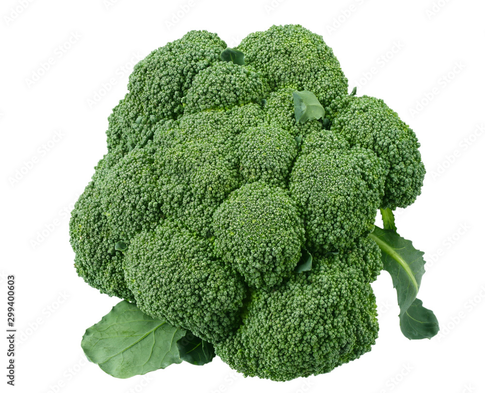 fresh green broccoli isolated on white background fresh green broccoli isolated on white background