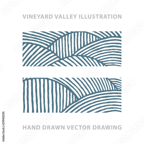 Vineyard. Sunny valley. Vineyard abstract hand drawn vector illustration.  Part of set. 